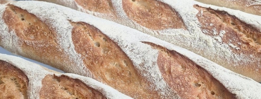 baguette thailand tindoro prime pizza base