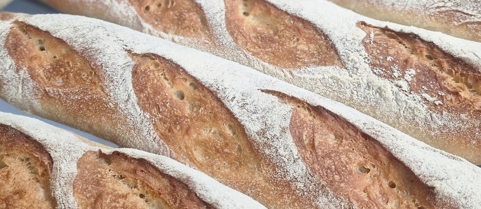 baguette thailand tindoro prime pizza base