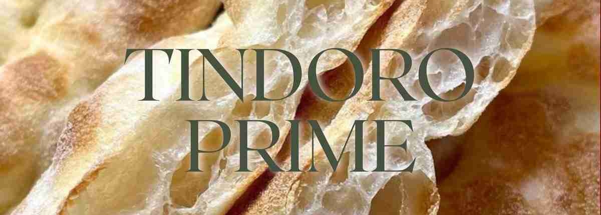 ฟอคัชเซียซาวร์โดว์ขายส่ง